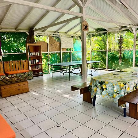 Auberge K-Wan Hostel - Proche Plages Deshaies Ngoại thất bức ảnh