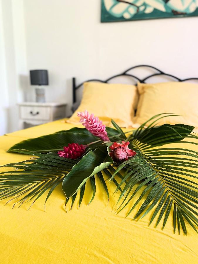 Auberge K-Wan Hostel - Proche Plages Deshaies Ngoại thất bức ảnh